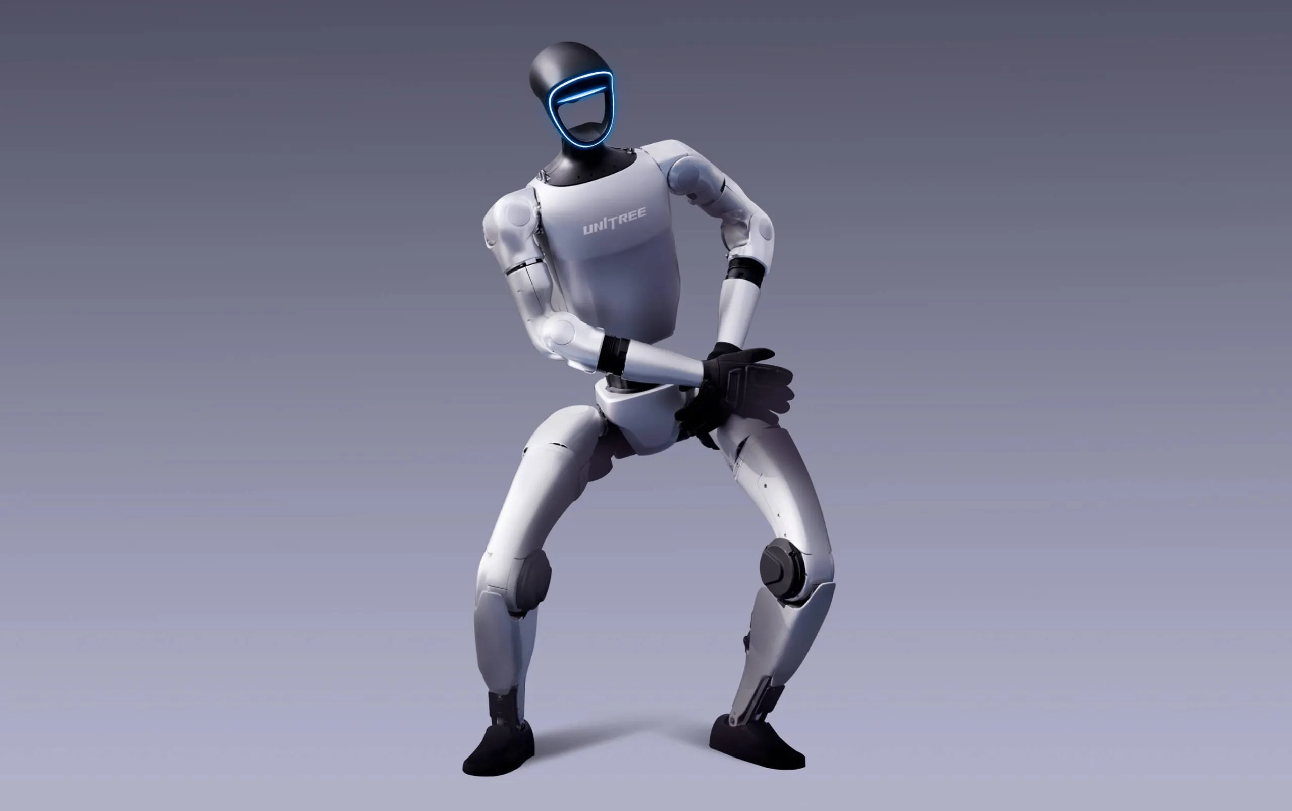 Robô Humanoide